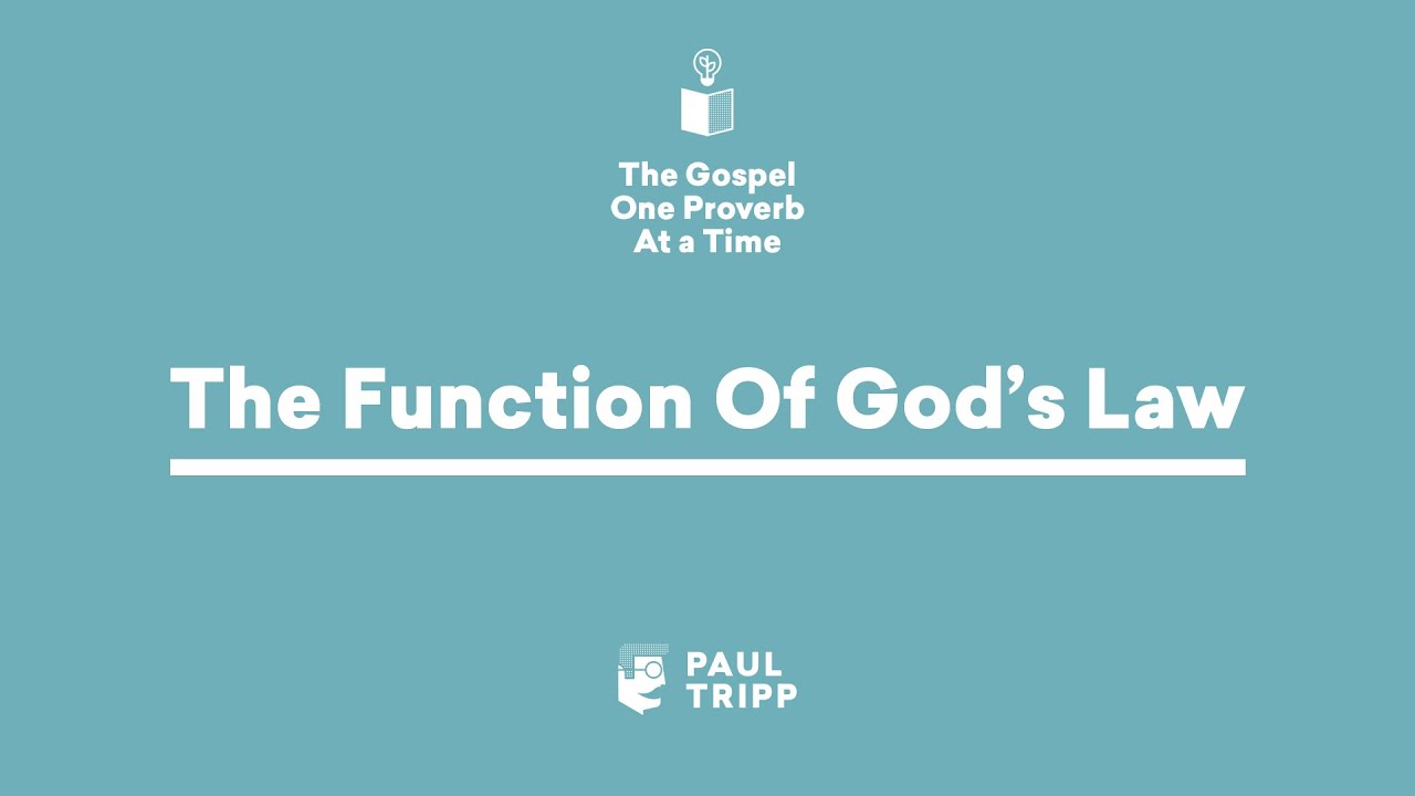 The Function of God's Law - Paul Tripp's Bible Study (Episode 040)