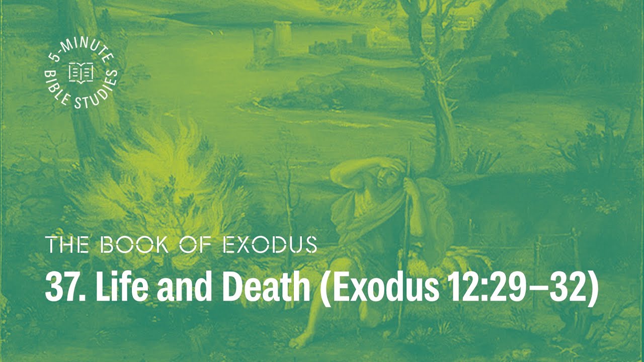 37. Life and Death (12:29-32) | Paul Tripp's Weekly 5-Minute Bible Study on Exodus