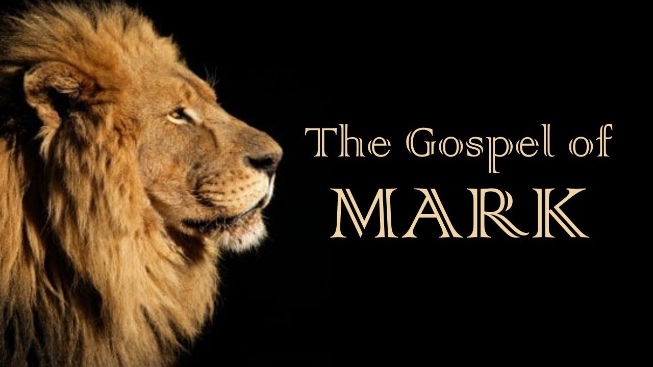Mark 9 v2 to v13 June 11 2023