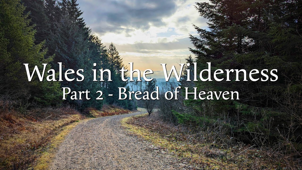 Bread of Heaven - Wales in the Wilderness #2