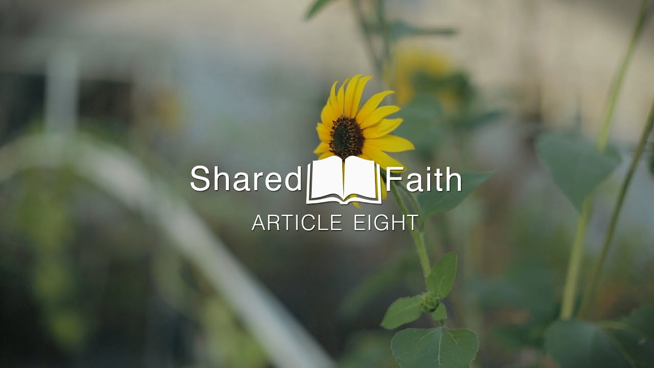 Shared Faith - Article 8