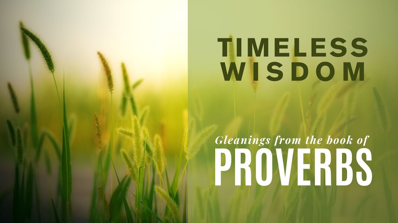 Marks of Wise Leadership - Proverbs 14:28